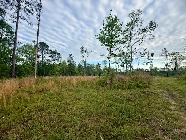 205 Keel Street, Hemphill, TX 75948 - #3