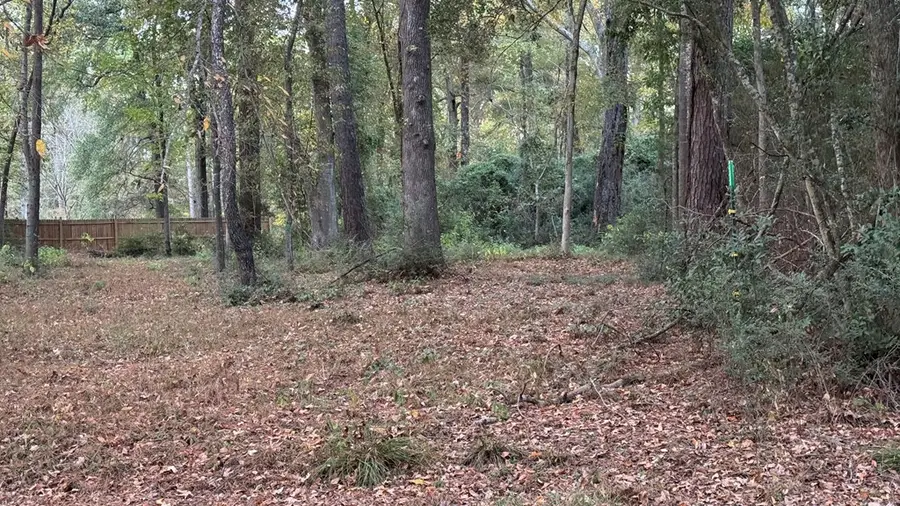 396 Ensign Drive, Hemphill, TX 75948 - #3