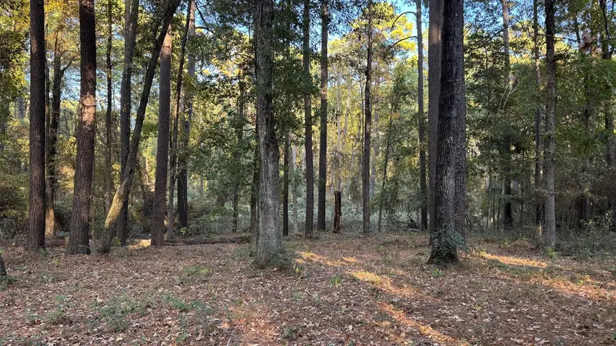 172 Starboard Drive, Hemphill, TX 75948 - #2