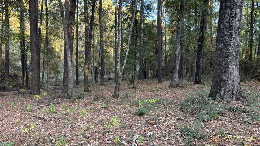 172 Starboard Drive, Hemphill, TX 75948 - #3