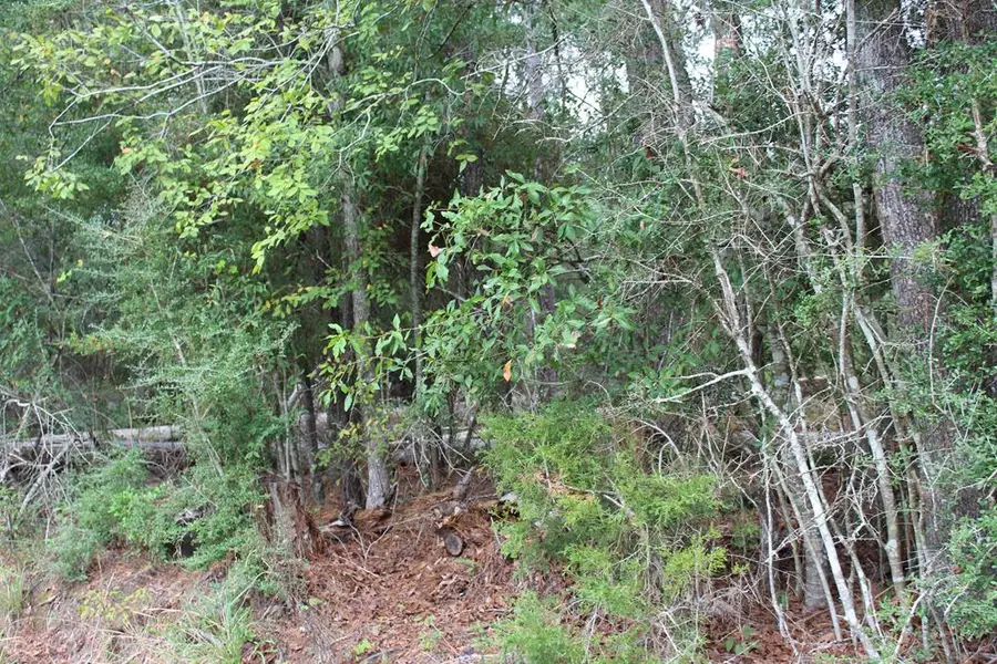 105 Brightberry Court, Brookeland, TX 75931 - #3