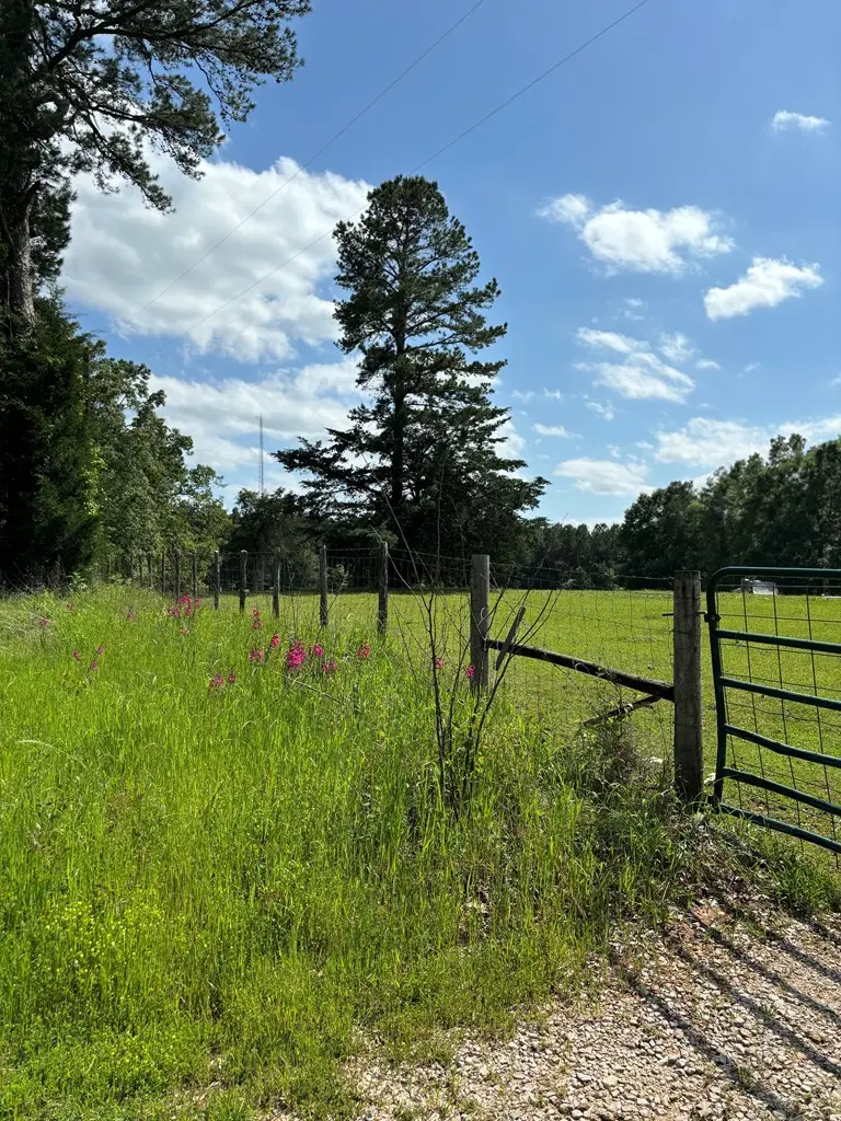 #25446 County Road 1488, Center, TX 75935 - #3