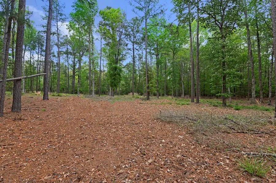 R031284 White Pine Drive, Brookeland, TX 75931 - #3