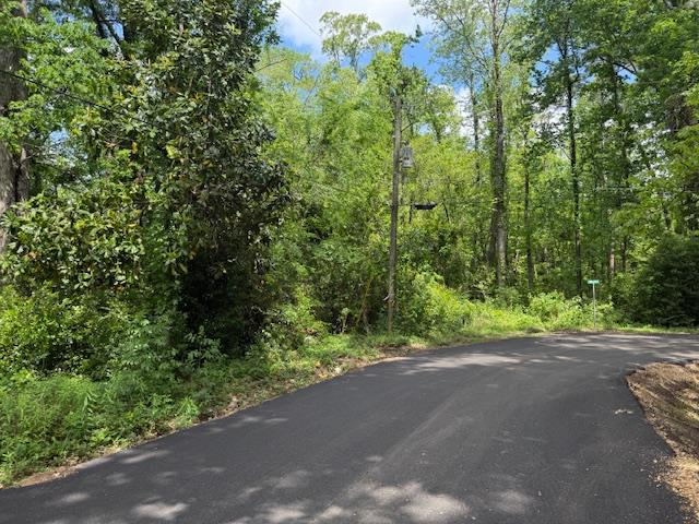 89 Midlake Drive N, Hemphill, TX 75948 - #1