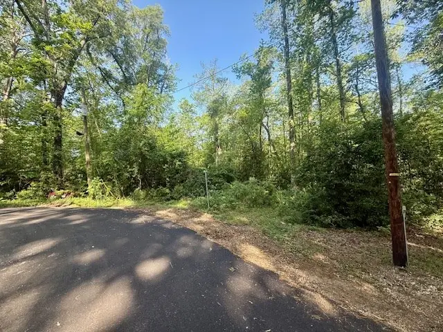 89 Midlake Drive N, Hemphill, TX 75948 - #2