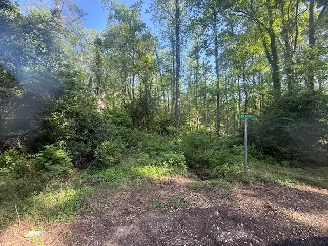 89 Midlake Drive N, Hemphill, TX 75948 - #3