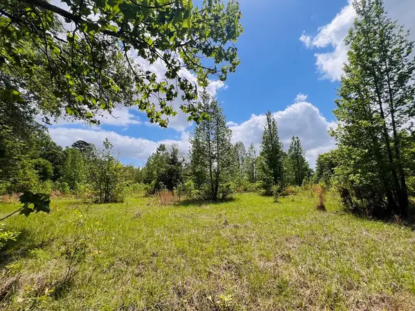 6080 Hwy 103, Bronson, TX 75930