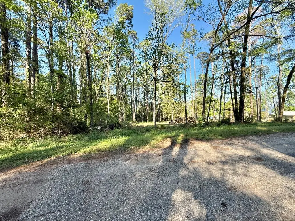 0 Commodore Drive, Hemphill, TX 75948 - #1