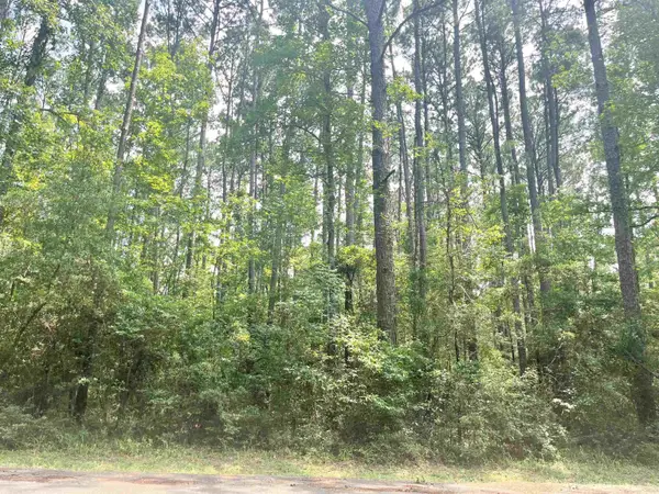 Lot: 532 Starfish Dr., Hemphill, TX 75948