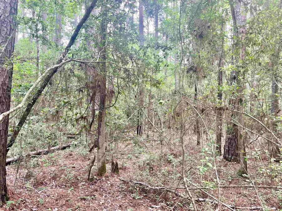 0 Starfish Dr., Hemphill, TX 75948 - #3