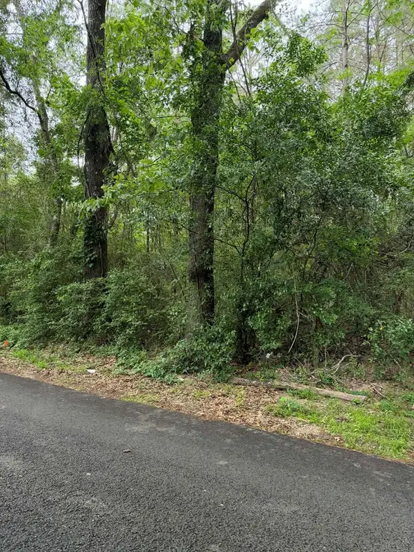 Lot 1 Old Gobblers Knob Rd, Lufkin, TX 75901