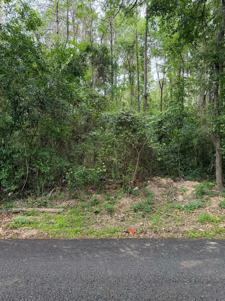 Lot 1 Old Gobblers Knob Rd, Lufkin, TX 75901 - #3