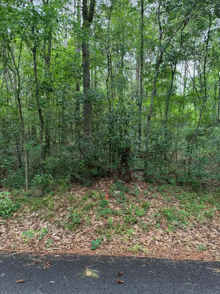 Lot 2 Old Gobblers Knob Rd, Lufkin, TX 75901 - #1