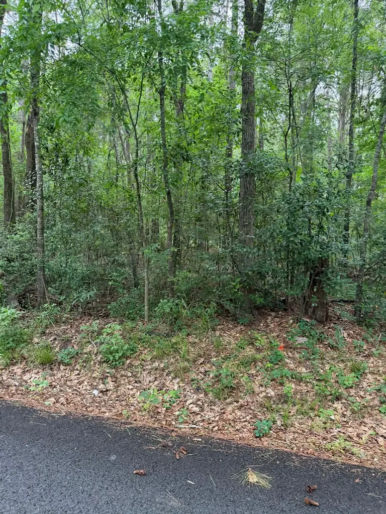 Lot 2 Old Gobblers Knob Rd, Lufkin, TX 75901 - #3