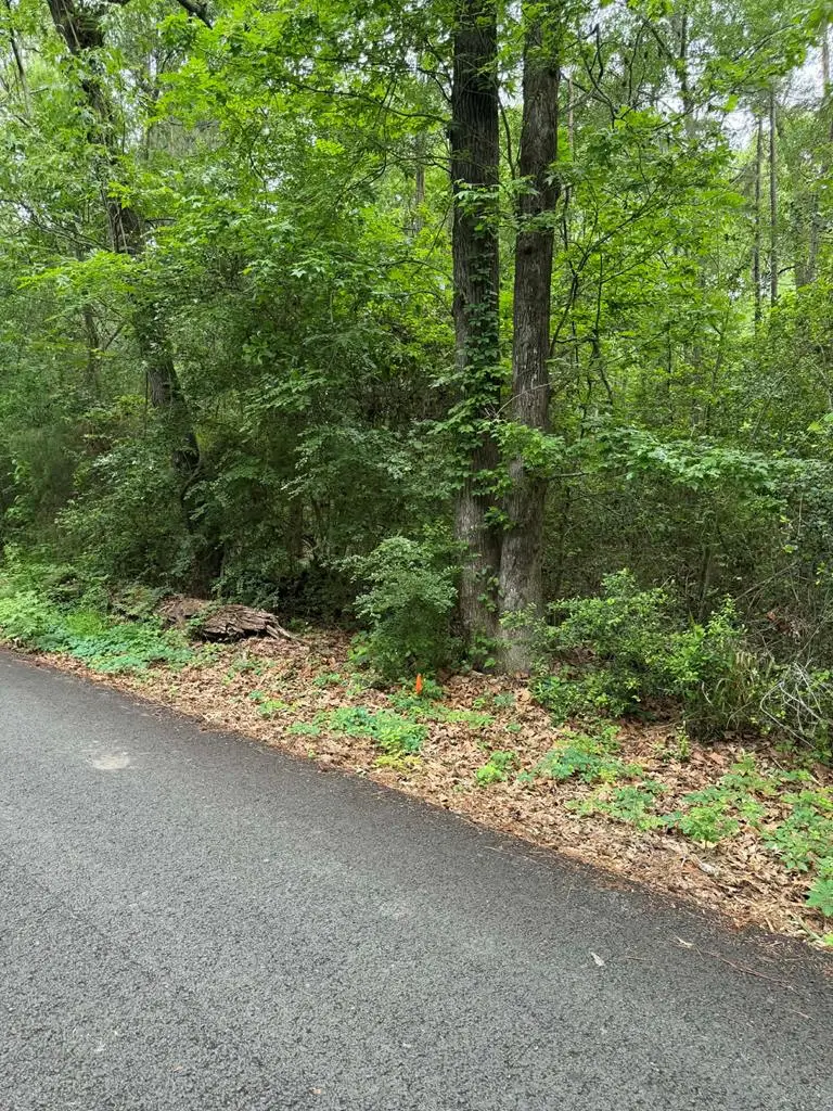 Lot 3 Old Gobblers Knob Rd, Lufkin, TX 75901 - #1