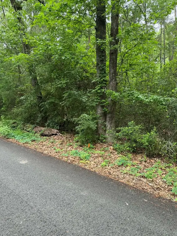 Lot 3 Old Gobblers Knob Rd, Lufkin, TX 75901