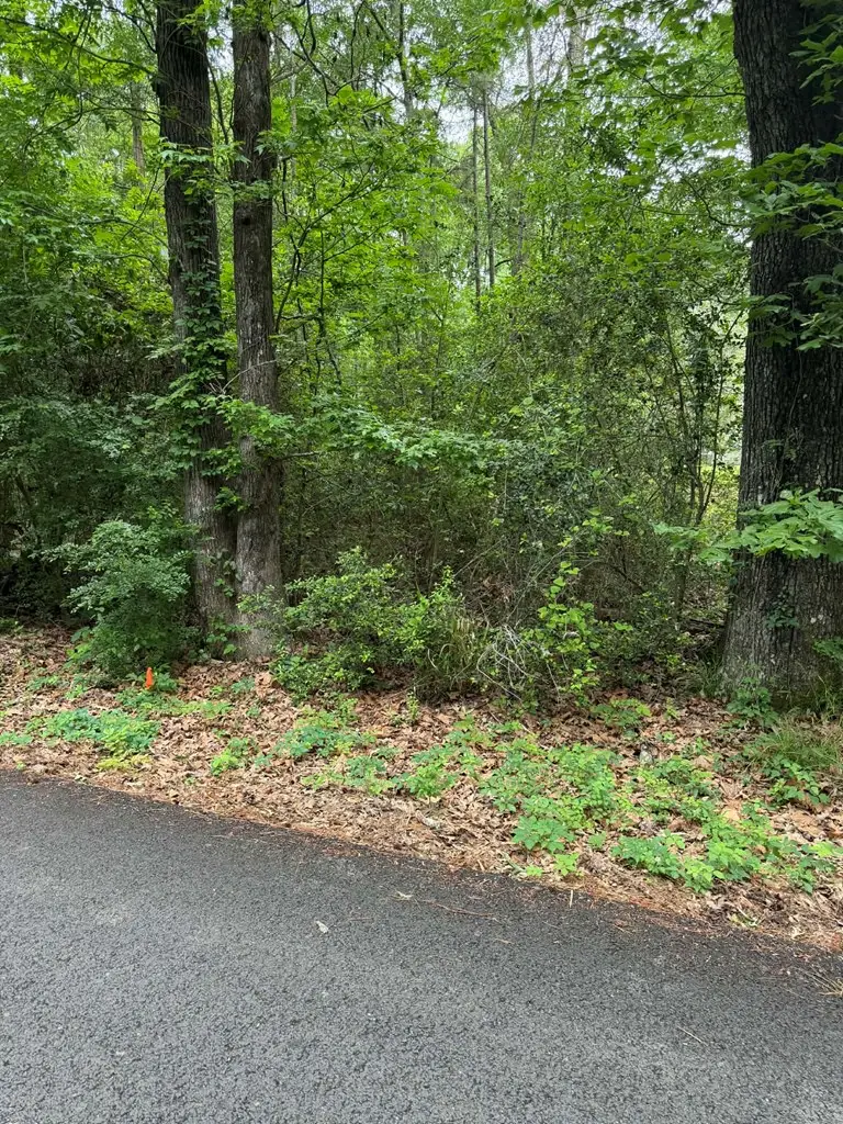 Lot 3 Old Gobblers Knob Rd, Lufkin, TX 75901 - #3