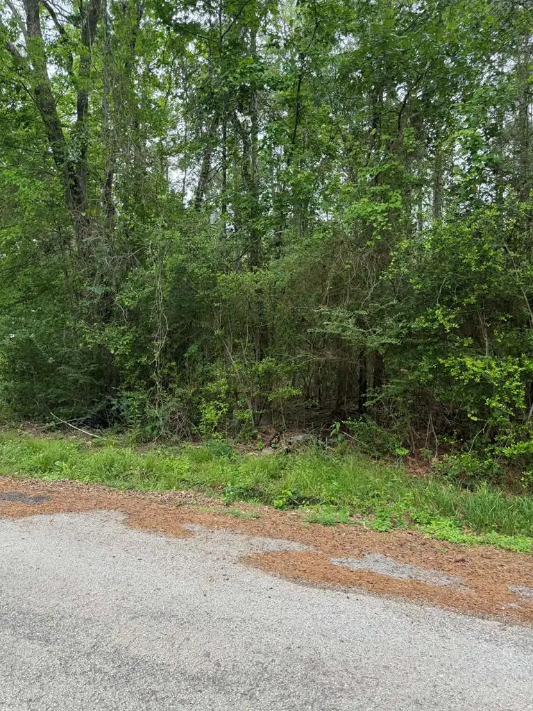 Lot 5 Old Gobblers Knob Rd, Lufkin, TX 75901 - #1