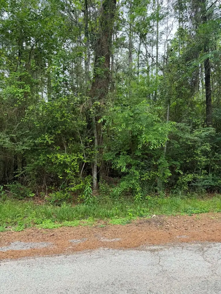 Lot 5 Old Gobblers Knob Rd, Lufkin, TX 75901 - #3