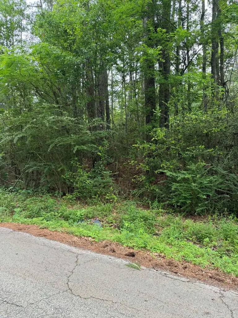 Lot 6 Old Gobblers Knob Rd, Lufkin, TX 75901 - #3