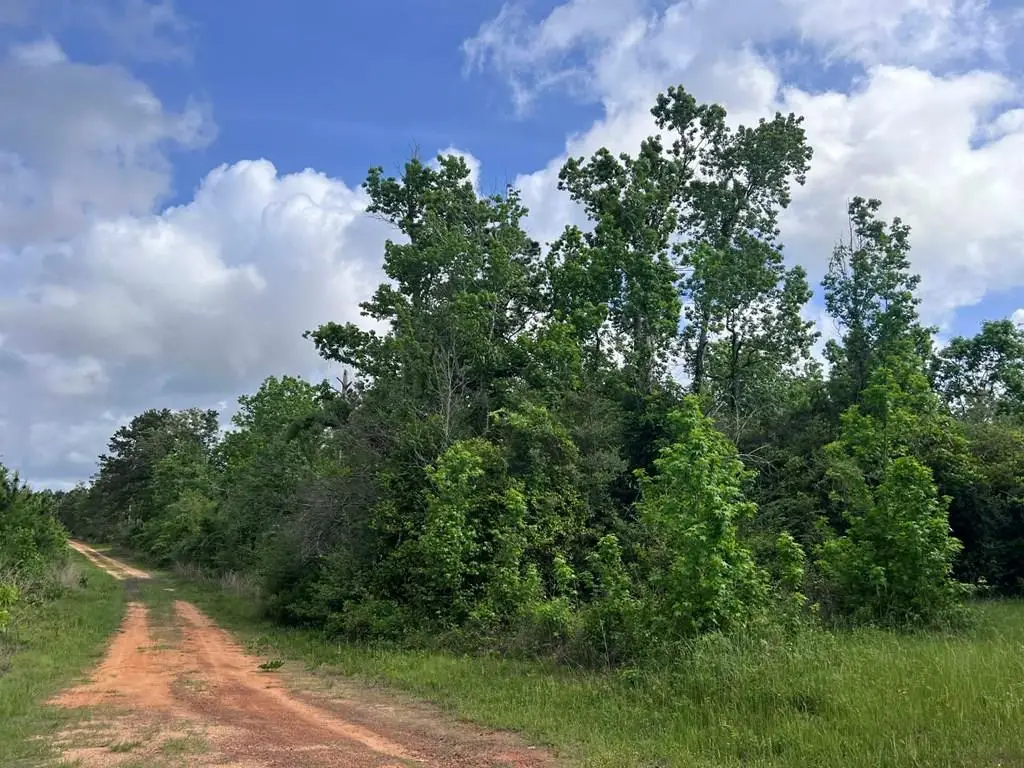 000 County Road 2041, Newton, TX 75966 - #1