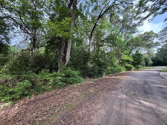 541 (Lot) Lakeshore Drive, Hemphill, TX 75948 - #1
