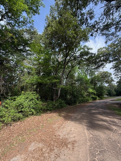 541 (Lot) Lakeshore Drive, Hemphill, TX 75948 - #2