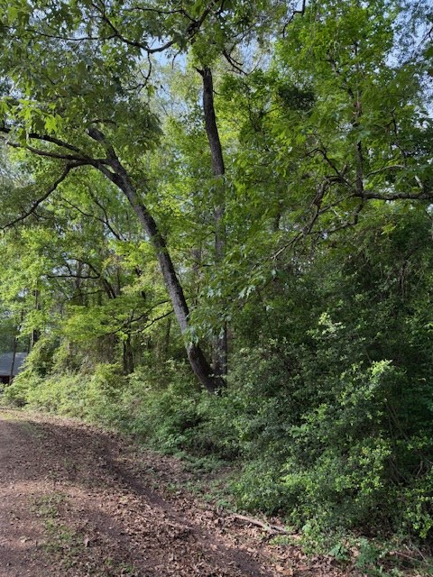 541 (Lot) Lakeshore Drive, Hemphill, TX 75948 - #3