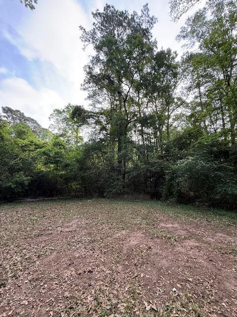 537 (Lot) Yacht Ct, Hemphill, TX 75948 - #1