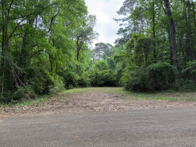 537 (Lot) Yacht Ct, Hemphill, TX 75948 - #2