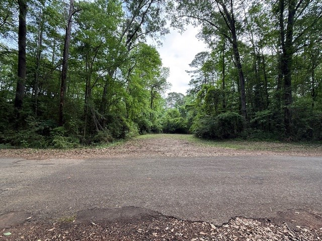 537 (Lot) Yacht Ct, Hemphill, TX 75948 - #3