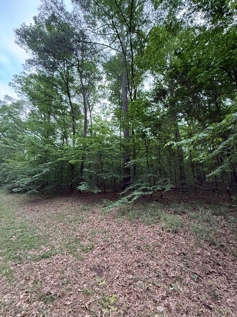 1140 (Lot) Admiral Drive, Hemphill, TX 75948 - #2