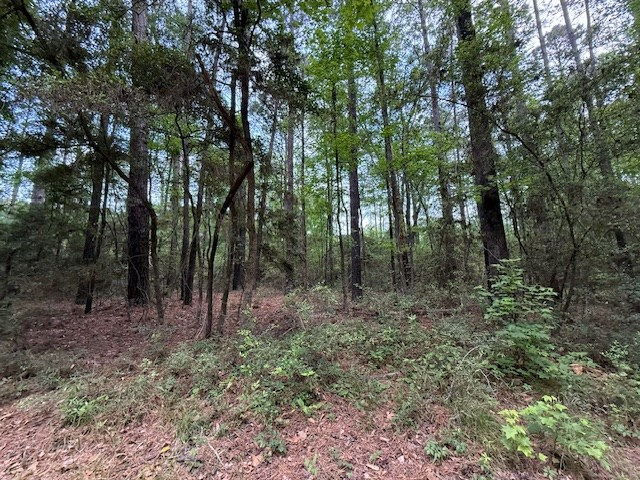 825 (Lot) Admiral Drive, Hemphill, TX 75948 - #2