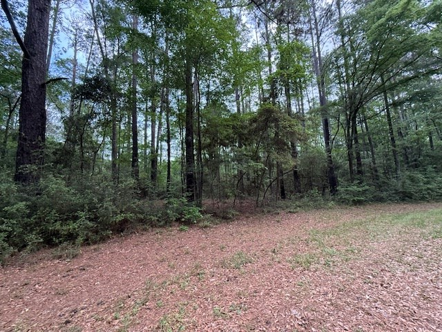 825 (Lot) Admiral Drive, Hemphill, TX 75948 - #3