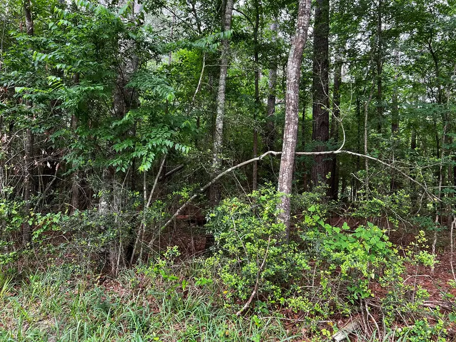 Tract 34 Benton Drive, Lufkin, TX 75901 - #3