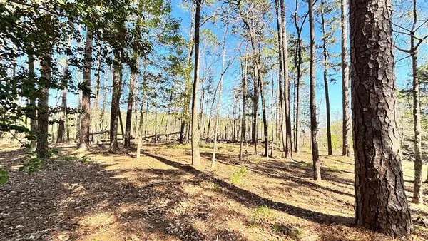 579 Pr 8480, Broaddus, TX 75929