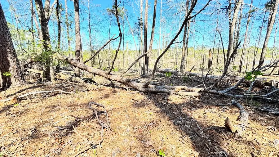 579 Pr 8480, Broaddus, TX 75929 - #3