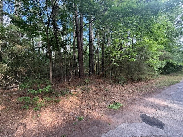 894 (lot) Bowline Drive, Hemphill, TX 75948 - #2