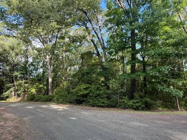 742 (lot) Bowline Drive, Hemphill, TX 75948 - #1