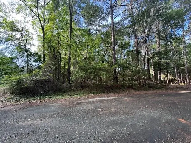 742 (lot) Bowline Drive, Hemphill, TX 75948 - #2