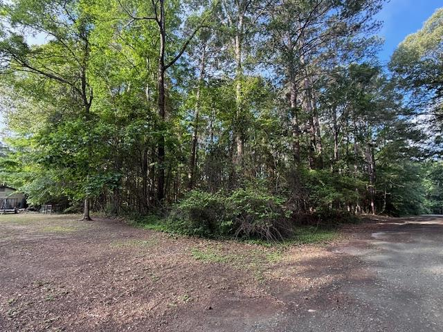 735 (lot) Bowline Drive, Hemphill, TX 75948 - #1