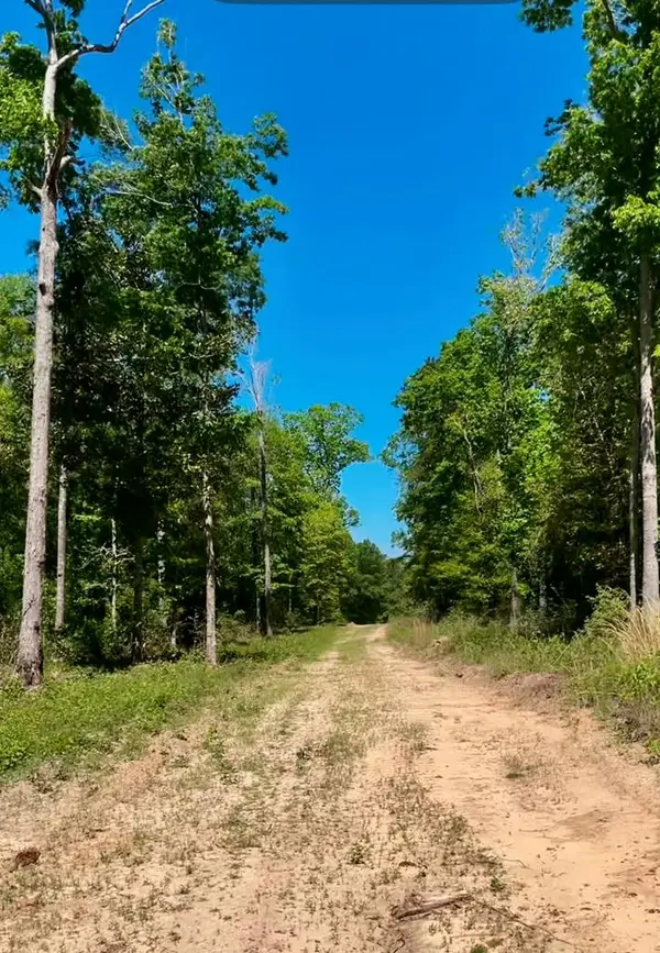 000 Fm 1005, Jasper, TX 75951