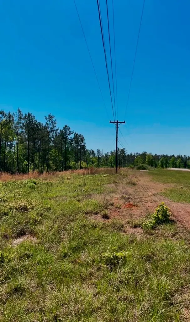 000 Fm 1005, Jasper, TX 75951 - #2