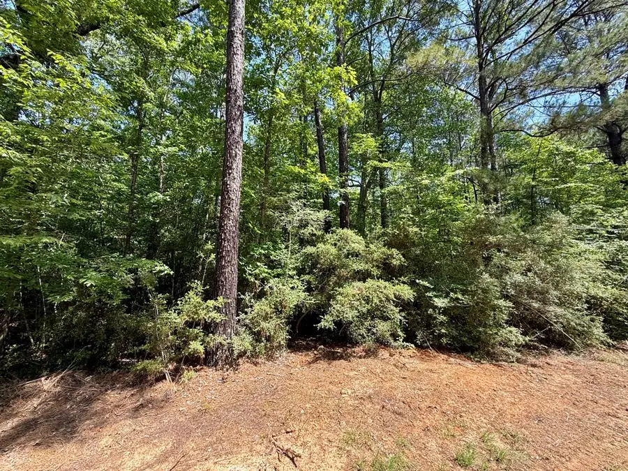 315 Falcon, Hemphill, TX 75948 - #2