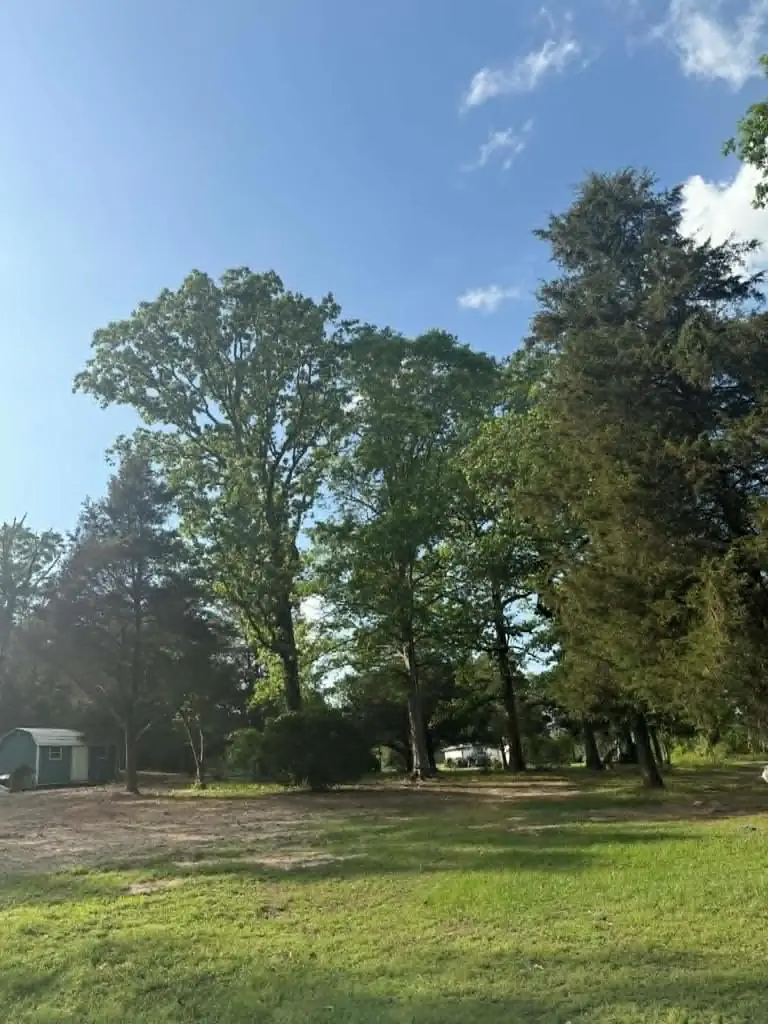 871 County Road 1044, Center, TX 75935 - #1