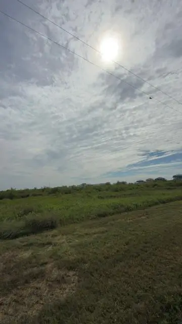 1062 Faggard's Slip, Gilchrist, TX 77617 - #1