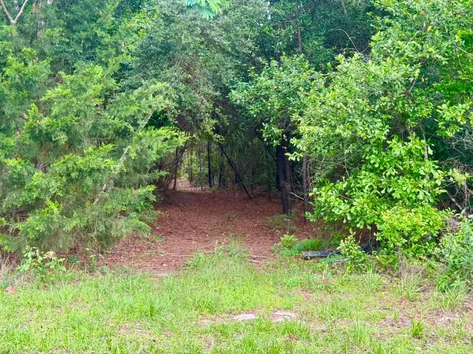 TBD County Road 1375, Warren, TX 77664 - #1