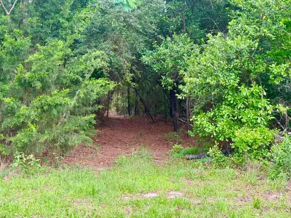 TBD County Road 1375, Warren, TX 77664
