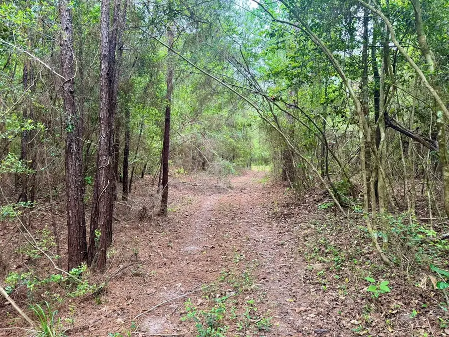 TBD County Road 1375, Warren, TX 77664 - #3