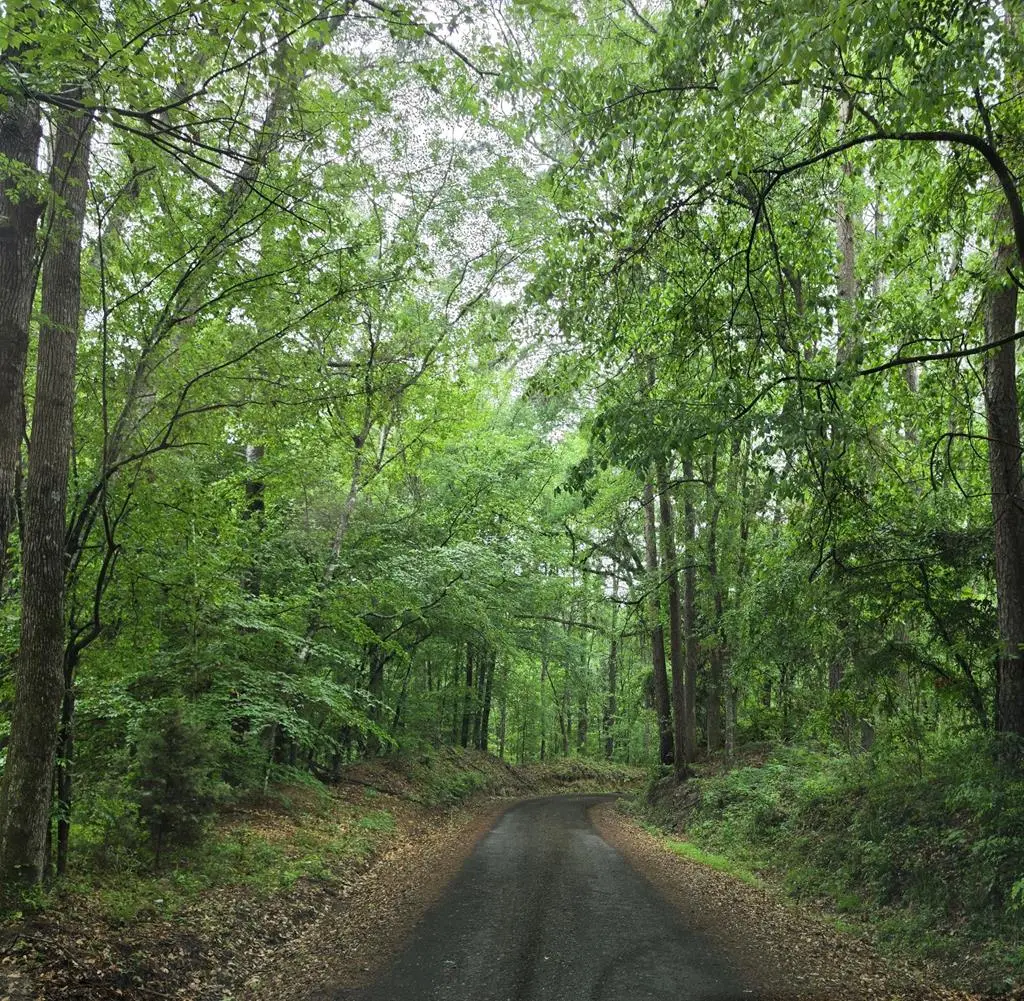 AB 399 C Cr 405, San Augustine, TX 75972 - #1